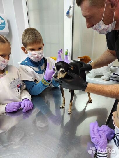 Экскурсия интерактивная для детей