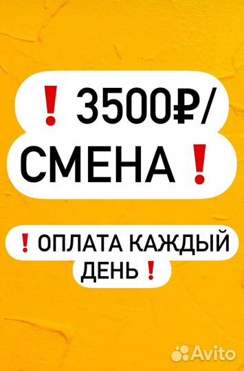 Комплектовщик Упаковщик/Еженедельная оплата