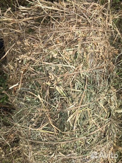 Сено в тюках