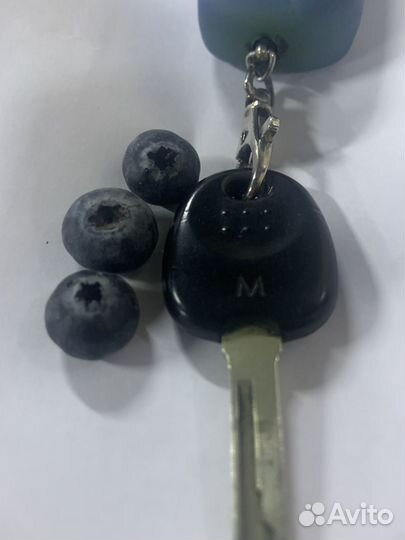 Професиональная обрезка плодовых деревьев