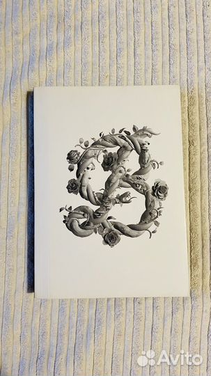 Книга О красоте. Загмайстер и Уолш