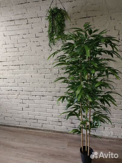 Искусственные растения искусственная зелень