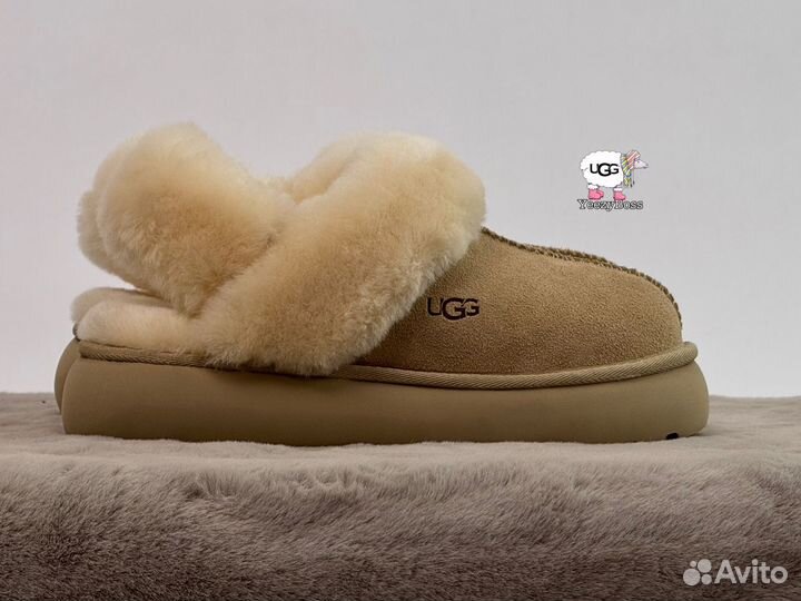 Угги тапочки женские Ugg Slippers Disquette