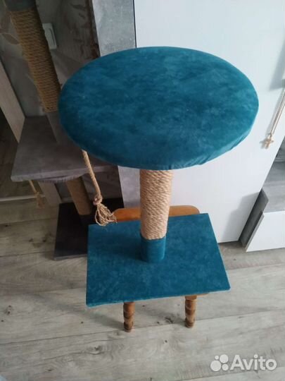 Когтеточка