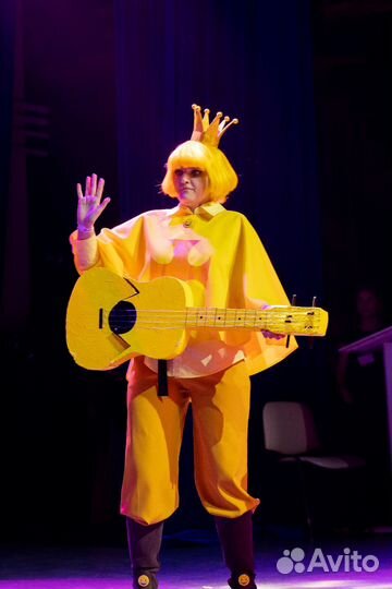 Пончо Феликс косплей 13 карт земля королей