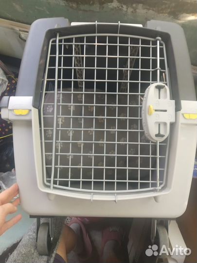 Переноса для средней собаки