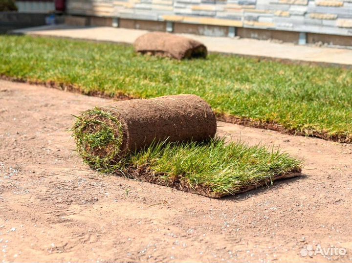 Укладка рулонного газона под ключ