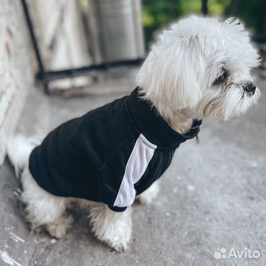 Свитер кофта одежда платье для собак кошек