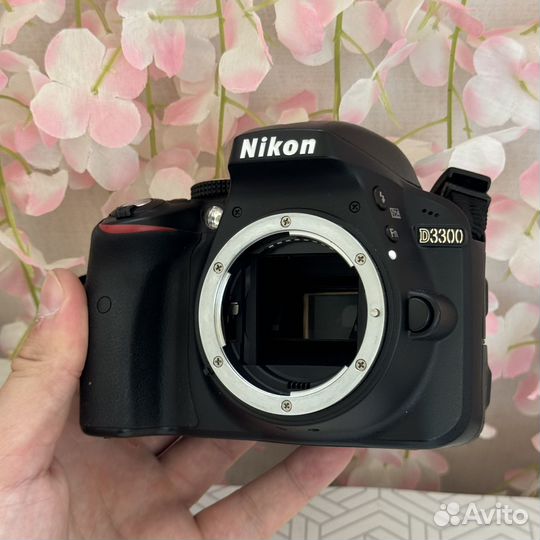 Зеркальный фотоаппарат Nikon D3300 Body