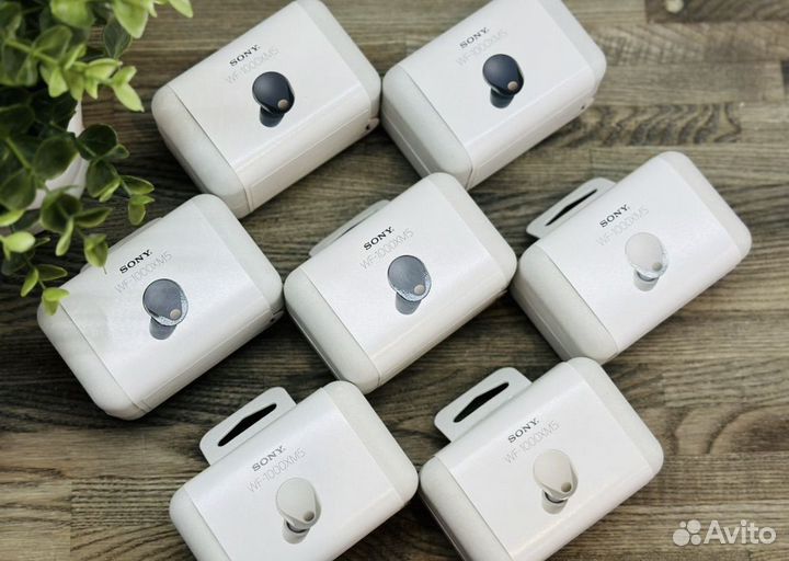 Наушники Sony WF-1000XM5