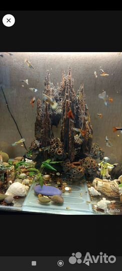 Скала для аквариума