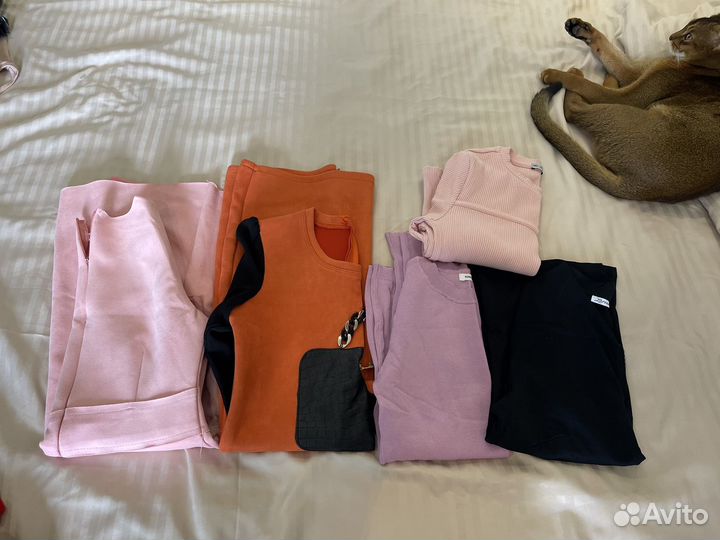 Пакетом одежда 42р