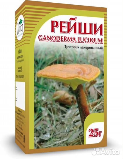 Рейши (трутовик лакированный)