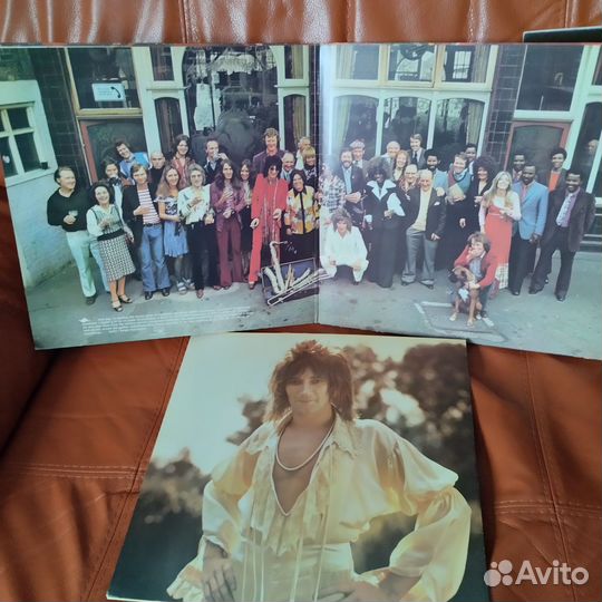 Виниловая пластинка Rod Stewart