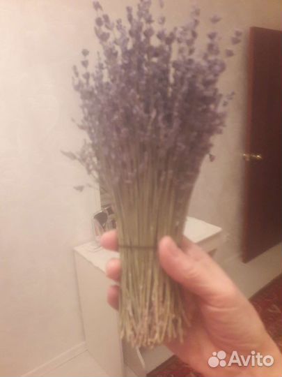Сухоцвет лаванды в корзинке и в букетах