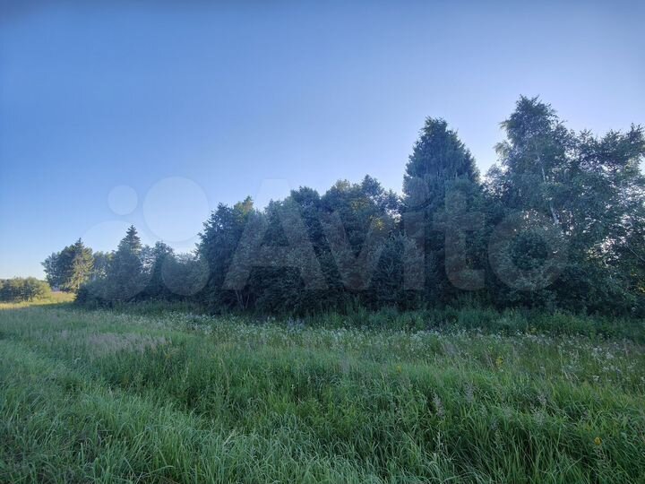 Участок 60 сот. (ИЖС)