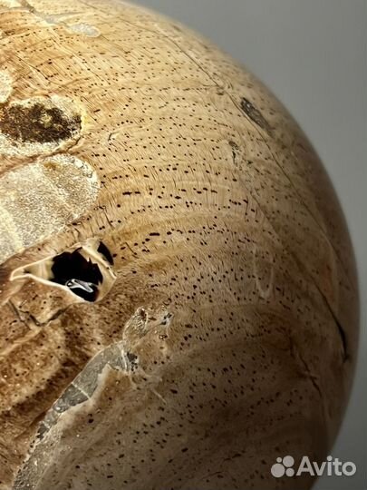 Шар окаменелое дерево 104 мм