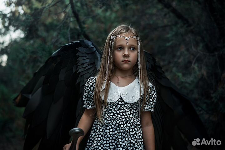 Крылья, рога, меч (аренда)