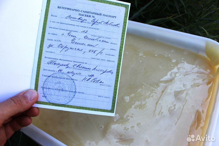 Мёд - своя пасека - оптом, от 1 кг. Омск