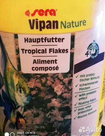 Аквариумные рыбки