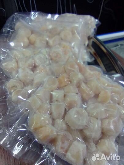 Морской гребешок