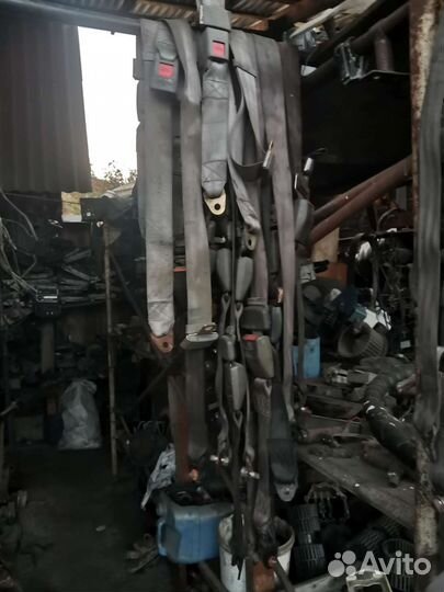 Ремни безопасности для автобуса