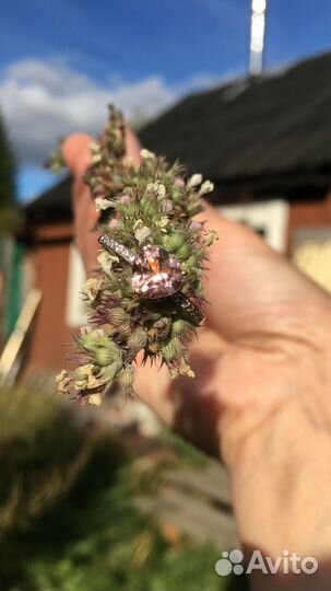 Золотое кольцо