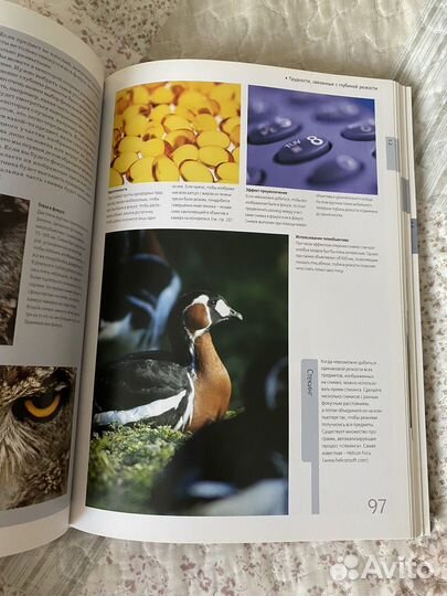 Библия цифровой фотографии Крис Джордж