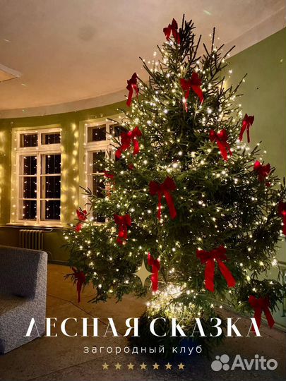 Аренда зала под мероприятие