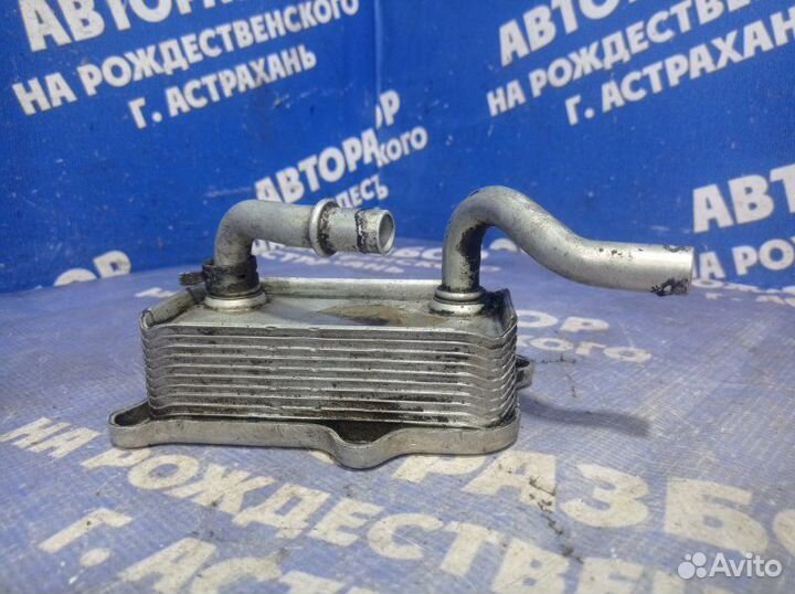 Радиатор масляный Mercedes-Benz W220 седан M113E50