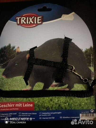 Шлейка для крыс и хорьков