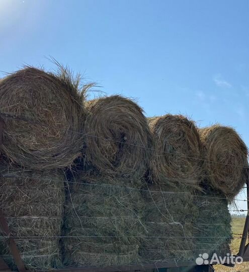 Сено 2.5Ц