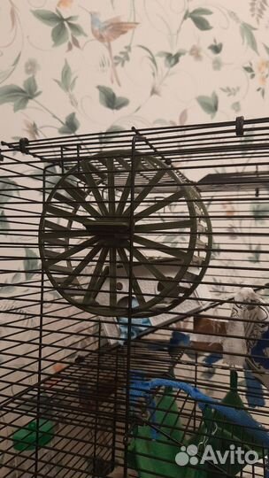 Колесо для хомяка