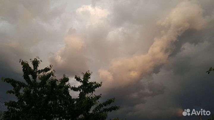 Фотография лишЪ