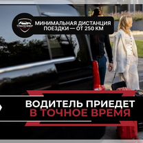 Междугородний трансфер бизнес класса, Жуковский