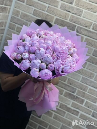 51 пион с доставкой