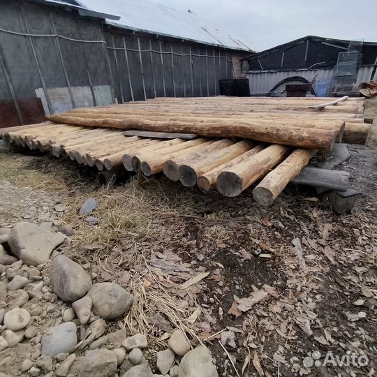 Бревно лиственницы