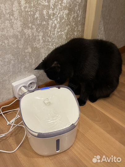 Умная поилка-фонтан Petroneer