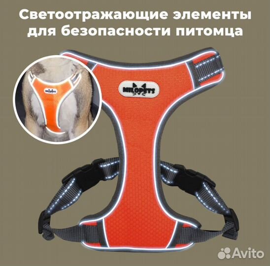 Шлейка для собак анатомическая MiloPets