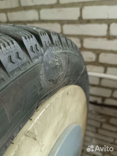 Formula Ice 205/55 R16