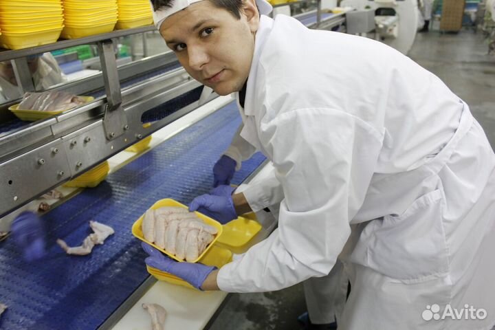 Оператор линии на производство без опыта