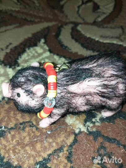 Свинка реборн