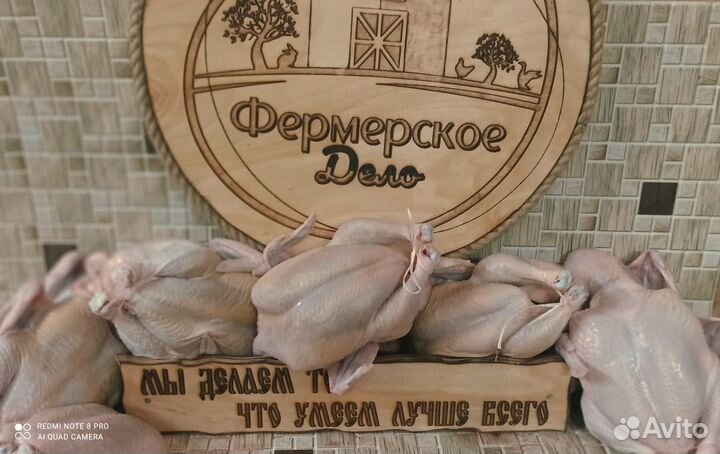 Куры бройлеры