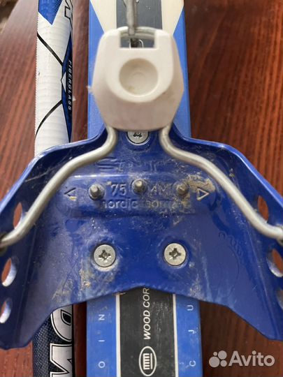 Беговые лыжи Nordway 160