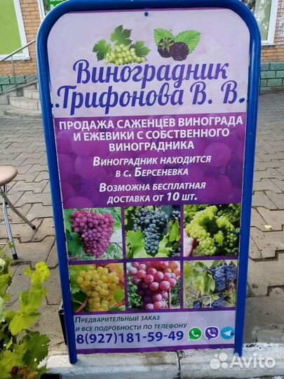 Саженцы, черенки винограда