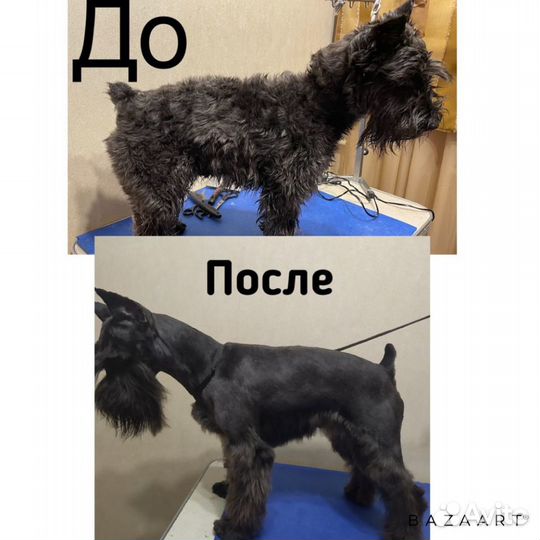 Грумер стрижка собак