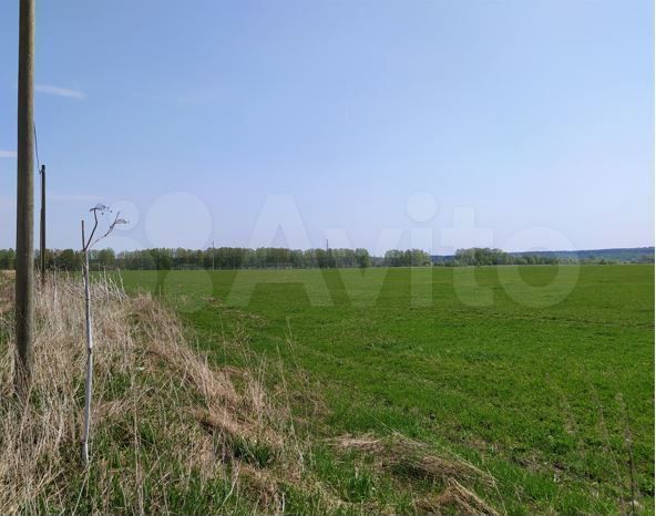 Участок 5,41 га (ИЖС)