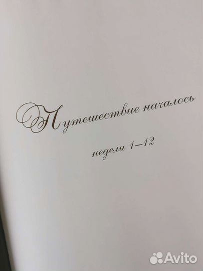 В ожидании чуда. Дневник моей беременности