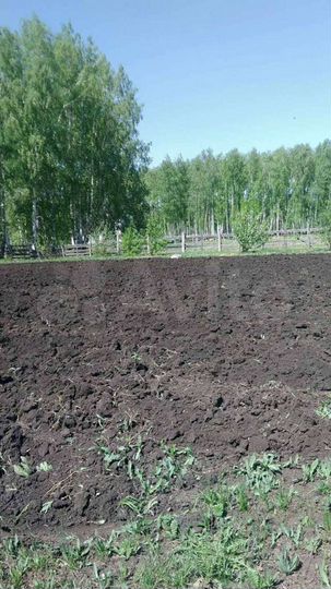 Участок 15 сот. (ИЖС)