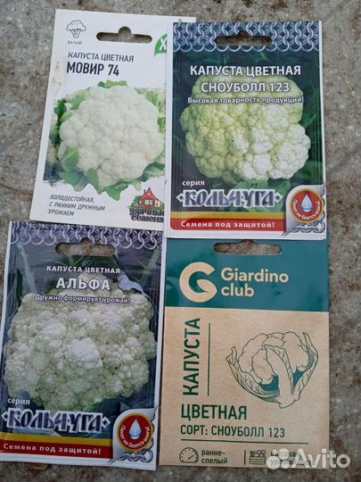 Рассада капусты, свеклы